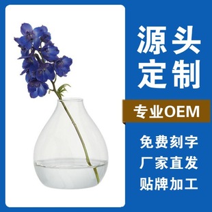 Customized European-style Simple Glass Vase Transparent Hydroponic Flower Device Desktop Decoration Craft Aromatherapy Bottle Ornaments