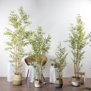 ������������ ����ʽ��ˮë���S�����辰�b���������