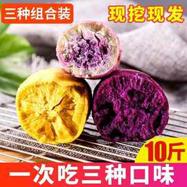 冰淇淋番薯一点红新鲜白心红薯爆皮王粉糯甜混合板栗干面包邮