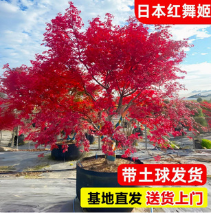 �t������t�����ļ��t�ձ��t�������t���Ї��t�~������