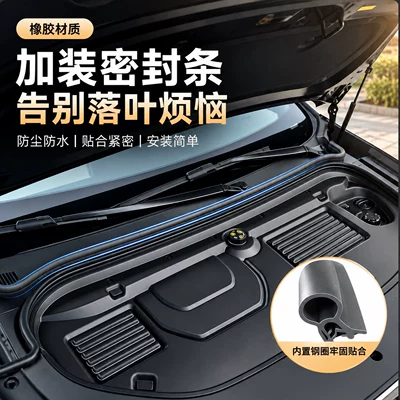 car fit, Vehicle Sealing Strip