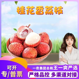 代用/养生茶;苹果;花果茶