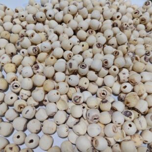 ĥƤ��ɏͨ�İ�ɏ���Ҝ�����Fĥ����