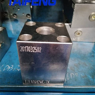 泰丰供应TLFA 063 H2WC -7X  型盖板厂家直销