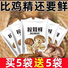 正宗松茸鲜代替鸡精味精无添加提鲜美味健康蔬菜宝宝菌菇粉调味料