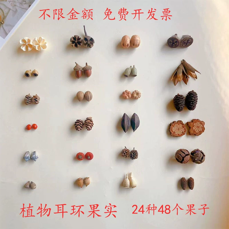 Растительные серьги фруктовый желудь ручной работы diy фруктовые серьги креативный персонализированный материал милые девчушки ретро серьги
