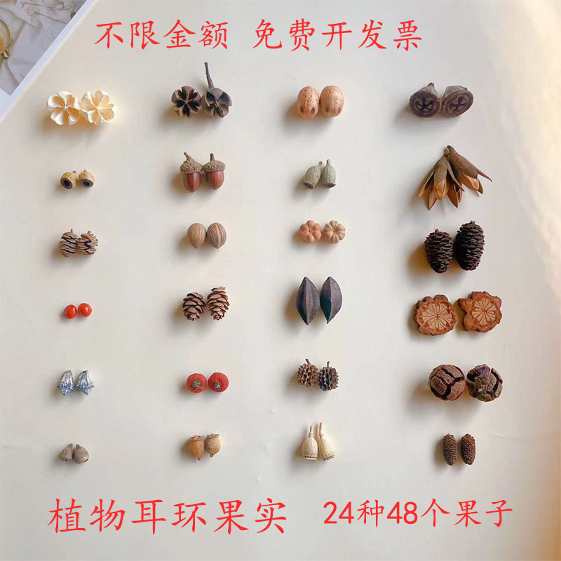 Plant Earrings, Fruit Acorns, Handmade DIY Fruit Creative Specimen Frame Materials, Christmas Wreath, Handmade Dried Flowers