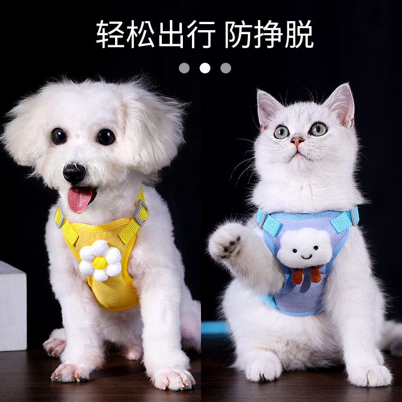 Nuevo pequeño perro Correa transpirable PET pecho Correa chaleco perro cuerda lindo patrón oso Correa