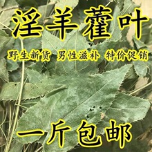 淫羊霍叶1斤包邮淫羊藿 野生仙灵脾灸羊藿叶洋火叶500克中药材