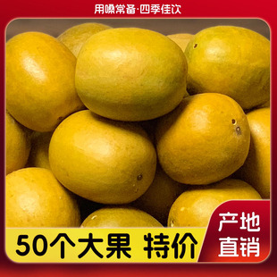 50������؃r�����S���_�h���V�������������øɹ�����ș�Ī����b