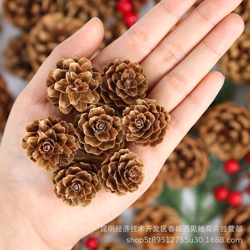 Natural Materials for Kindergarten Wreaths: Larch Pine Cones, Natural Landscaping, Log-Style Branches for Decoration Natural Materials for Kindergarten Wreaths: Larch Pine Cones, Natural Landscaping, Log-Style Branches for Decoration