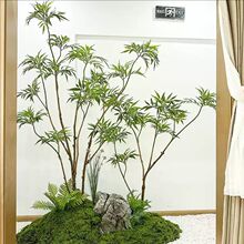 �߶�ʮ�󹦄ڷ���Gֲ�U�♻�������҃��b��쾰��غ��s����ֲ��