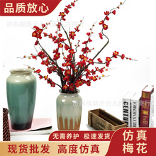 �D÷ ����÷�����滨�ٻ����l�Ҿ��Ʒ�b� ��̨�zӰ���߹���