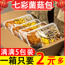 云南七彩菌汤包新货菌菇汤料包干货特产松茸炖鸡汤煲汤材料包礼盒