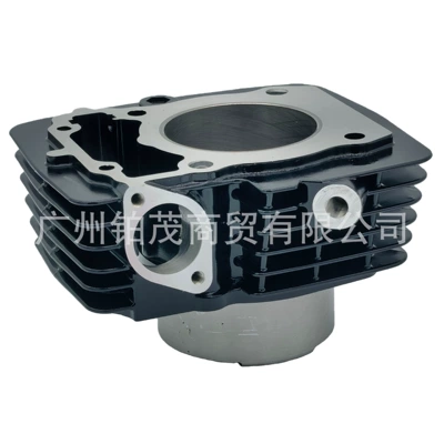Xpulse 200t 200X Cylinder – Cylinder and parts