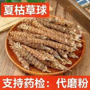 �Ŀݲ���  ��ș�� �Ŀ��� �Ŀݲ� ��ë�Ŀ���� �Ĺò��Ĺ��Ĺ�