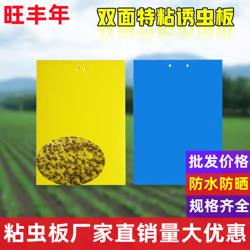 Yellow sticky traps, double-sided insect boards, blue paper insect boards, yellow pest traps, fruit fly traps, sticky boards for orchards, thrips traps, greenhouse pest control.