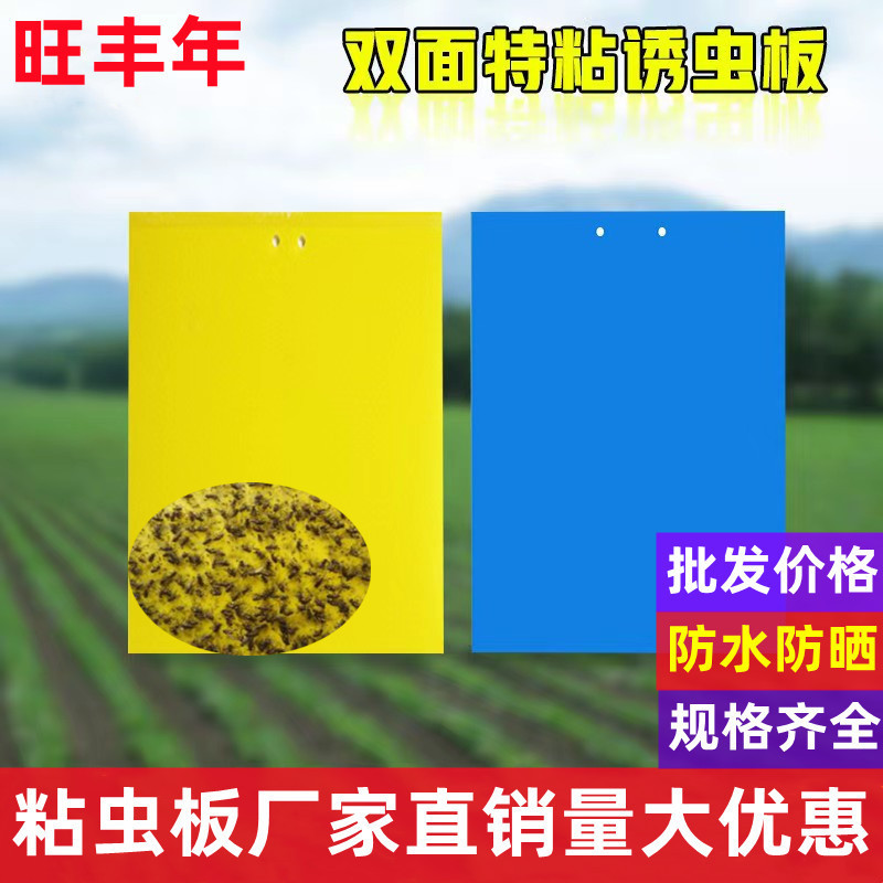 Yellow Board Double-Sided Sticky Board Dipped in Insects Blue Board Paper Sticker Yellow Small Flying Insect Killing Fruit Fly Sticky Board Orchard Thrips Greenhouse