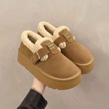 ѩѥŮ2025궬¿WtЬٴЬһ_őЬ