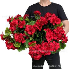 ���R�d�羳���溣�Ļ��ٻ����ÿ��z�����Ļ�Y�����}�Q���滨