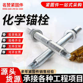 化学锚栓建筑幕墙高强度加长化学膨胀螺丝倒锥锚栓药剂膨胀螺栓
