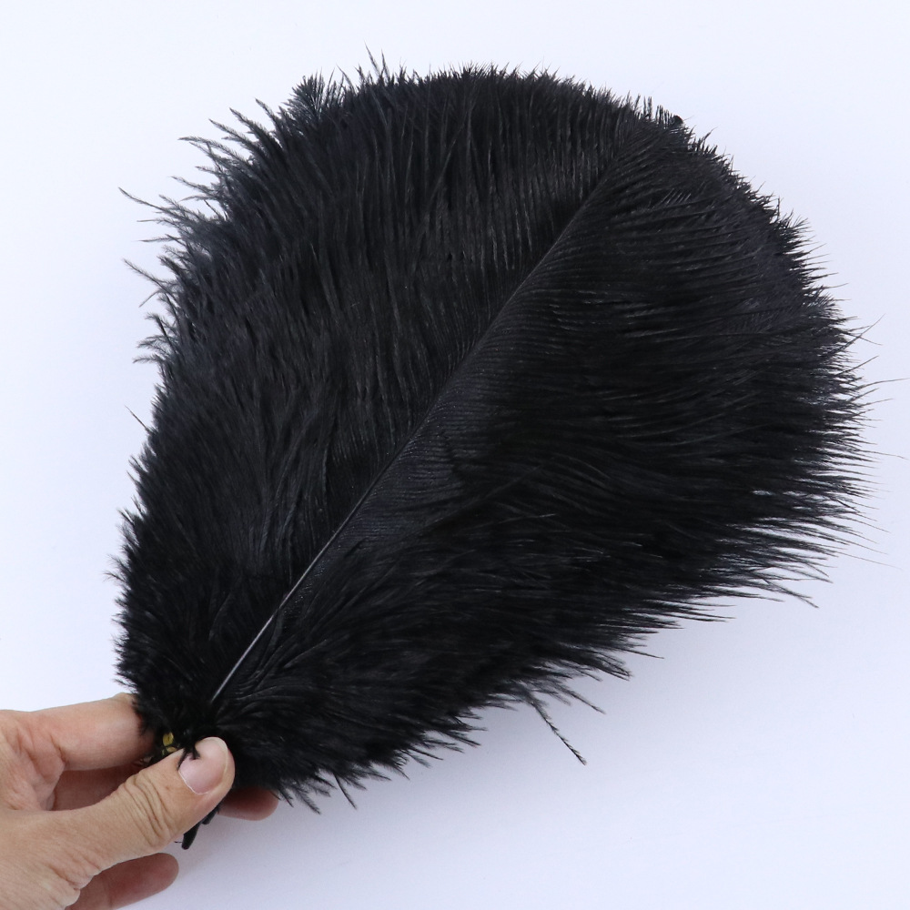 블랙 20-25cm, 10개입