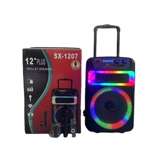 �¿�˽ģ12�����U����������{������ �p�o��MIC�b���� Disco���