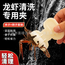 �F؛�l�w�f��ϴ���r�A���Ϗ��^ˢ�N���坍��ˢˮ�۶๦�ܟo���ǊA