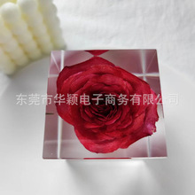 天然真花玫瑰花标本永生花方形树脂包埋装饰摆件礼品科教标本