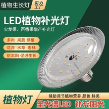 LED节能植物补光灯大棚草莓蔬菜花草果树花卉兰花多肉植物生长灯