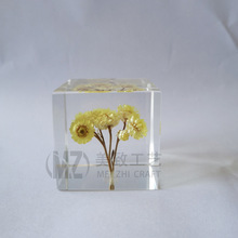 东莞工厂制作亚克力填充花朵 水晶胶封装干花 树脂浇注蜡菊花展示