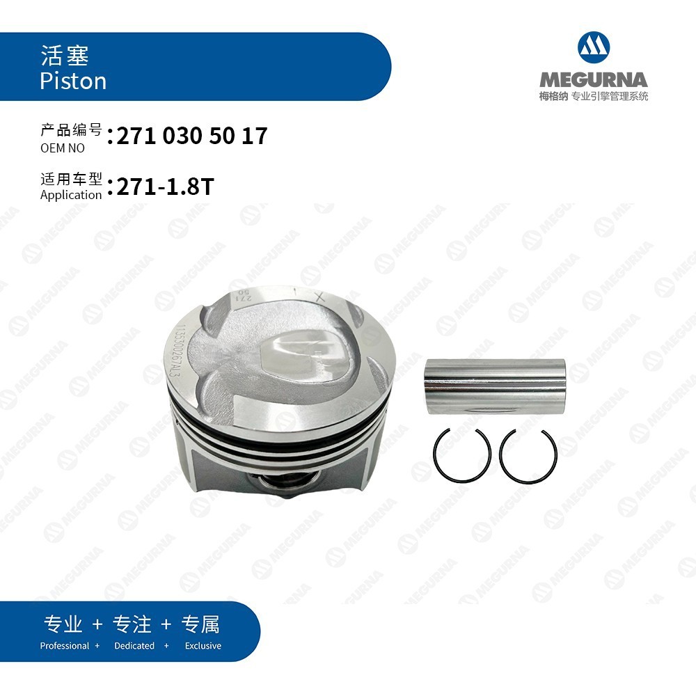2710305017/Benz 271 new piston ring/001PI0016300/WG2043236/KS8579