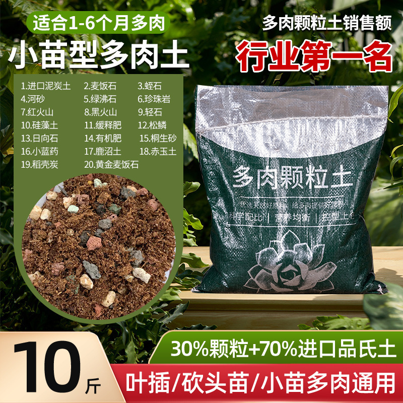 多肉植物粒土、特殊栄養土、医療石、一般花植物多肉植物土、カラフルな小石舗装|undefined
