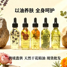 �羳�ɻ�����õ���Ե���Ȼ��ȼ���޹�²ݸɻ����ͬF؛