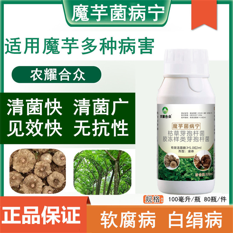 Special Medicine for Konjac Soft Rot, Stem Rot, Leaf Rot, Root Rot, Soft Rot Fungicide, Junicing Special Medicine for Konjac Soft Rot, Stem Rot, Leaf Rot, Root Rot, Soft Rot Fungicide, Junicing