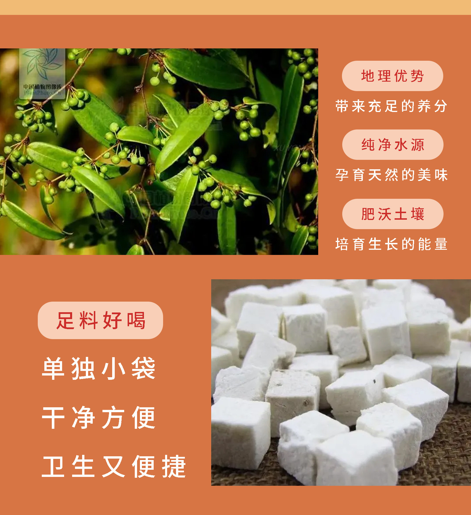 Fu Shi Yin Herbal Drink with Ginseng (Ren Shen) — Portable Herbal Beverage Sachets quality and texture