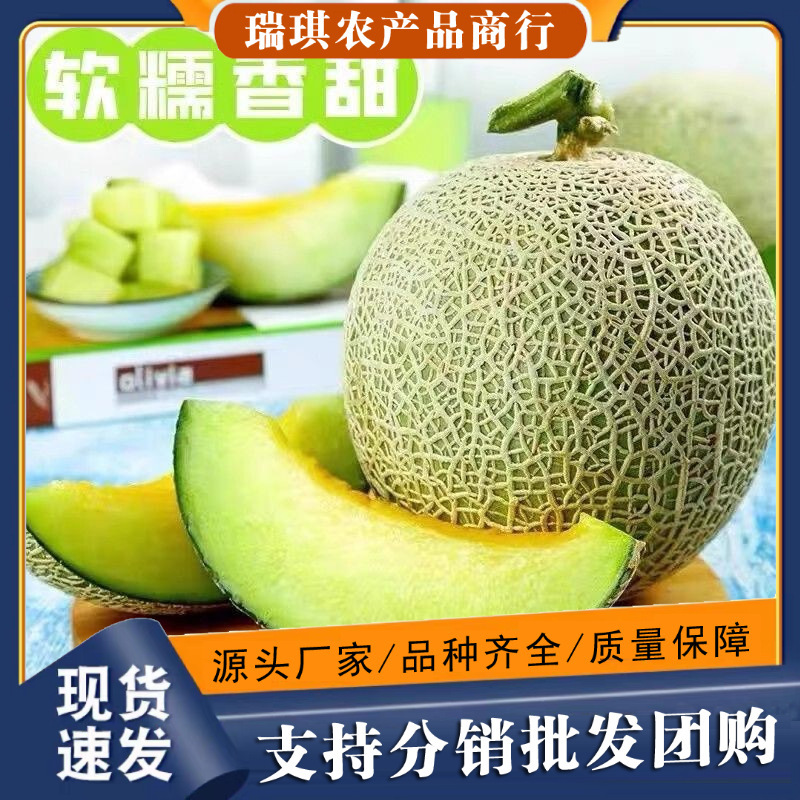 Hainan Meilong Melon 5kg Whole Box Haiyang Net Pattern Honeydew Fruit 35 Free Shipping Hami Melon Candied Hainan Direct Delivery