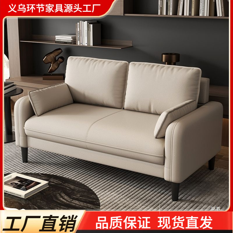 Light Luxury Sofa for Small Apartments, Two-Seater and Three-Seater Sofa for Rental Apartments, Rest Areas, Reception Areas, Guesthouses, and Clothing Stores Light Luxury Sofa for Small Apartments, Two-Seater and Three-Seater Sofa for Rental Apartments, Rest Areas, Reception Areas, Guesthouses, and Clothing Stores