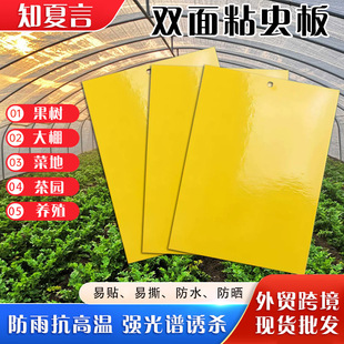 �羳���Q�p��ճ�x���S���T�x����@��ωᘷ��{���E�R�{������w�x