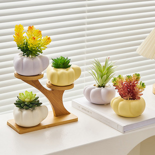 ����ԭ���OӋ؈צ�脓�����С���ԾGֲ�̨�k������͏d�b[��