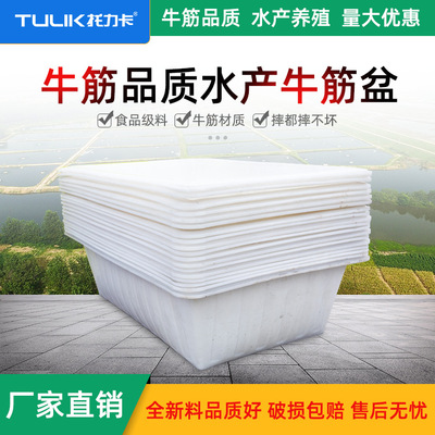 thickening Dichotomanthes water tank rectangle Plastic water tank household Water tank Large bucket Aquatic products breed Fish bowl Square pots