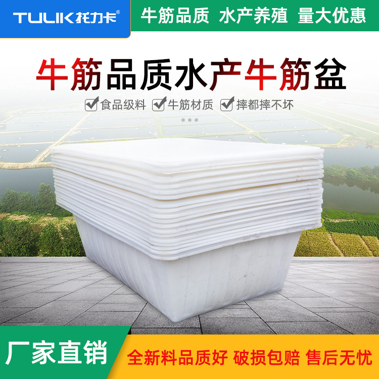 thickening Dichotomanthes water tank rectangle Plastic water tank household Water tank Large bucket Aquatic products breed Fish bowl Square pots