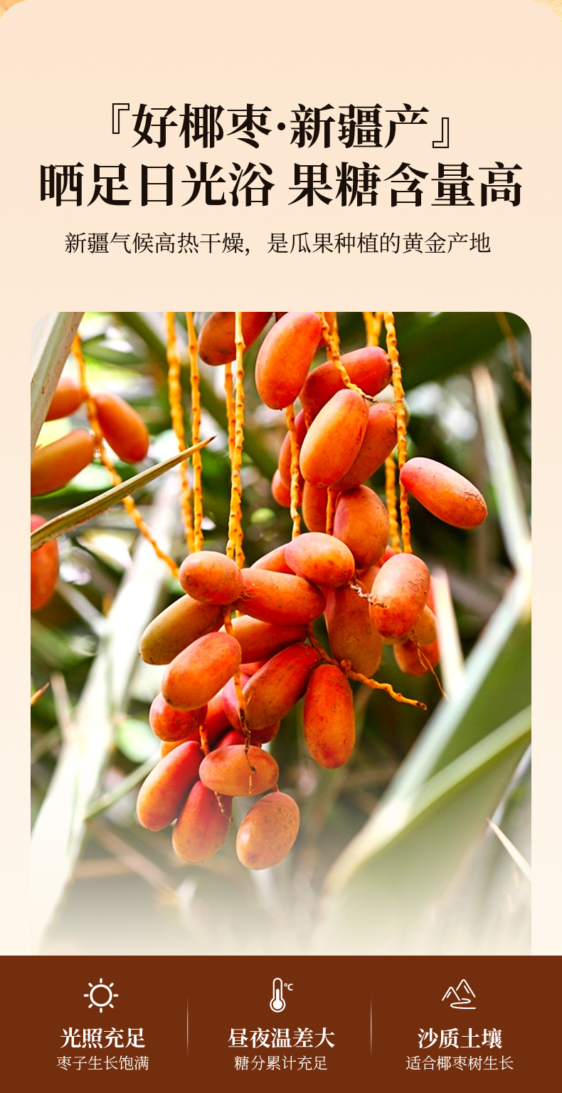 Black Jujube Dried Dates 250g Jar Sweet Soft Ready to Eat Premium Grade key features