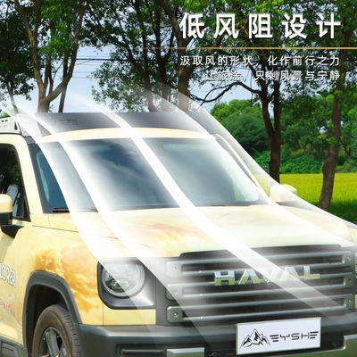 Luggage Crossbar Canopy Ladder — Roof rack