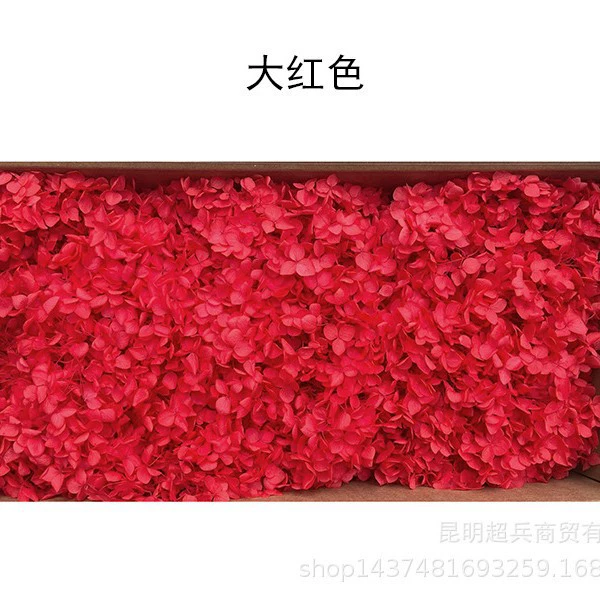 [Вечная Life Flower Hydrangea] Анна Градиентный цвет Лист Hydramid Книга цветов оптом DIY цветочная коробка материал для просмотра
