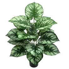 �羳���u���W����Gֲ�٘��辰����ֲ���쾰�����҃ȼҾӿ͏d�b�