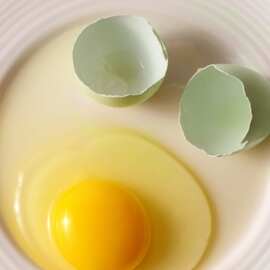 绿壳蛋10枚！中！农家散养土鸡蛋绿壳鸡蛋乌鸡蛋笨鸡蛋