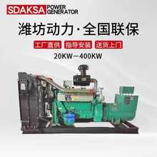 濰坊廠家備用200kw柴油發電機組 200千瓦三相同步交流發電機組