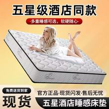 ϯ��˼���|�o��������������20cm�����zҬ��ƫӲ������ⷿ����