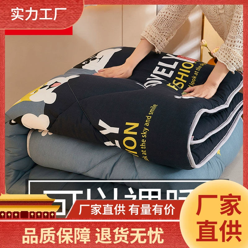 Одеяло Нандирен Зимнее Мягкое хлопковое одеяло Одиночное двойное зимнее одеяло Core Студенческое весенне-осеннее одеяло Одеяло с кондиционером Постельное белье для общежития